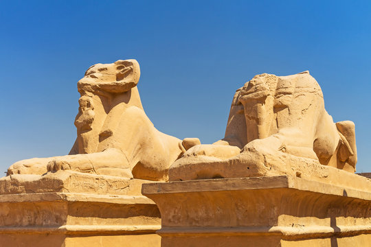 Ancient statues of Ram-headed sphinxes in Karnak temple, Luxor