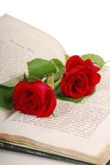 Antikes Buch mit Rosen - Book with roses