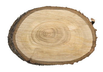 Fototapeta premium wooden cut texture