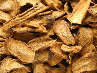 Herbal , dry burdock root