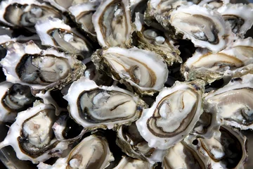 Photo sur Plexiglas Crustacés huîtres ouvertes sur un plat
