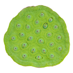 Lotus seed