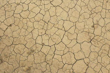 dry soil