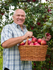  man with  basket of apples