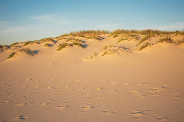 Fototapeta na wymiar Footprints and Dunes landscape