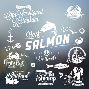 Seafood restaurant labels, badges and icons typography
