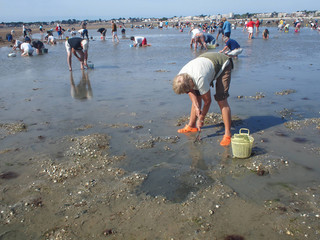 Pêche à pied