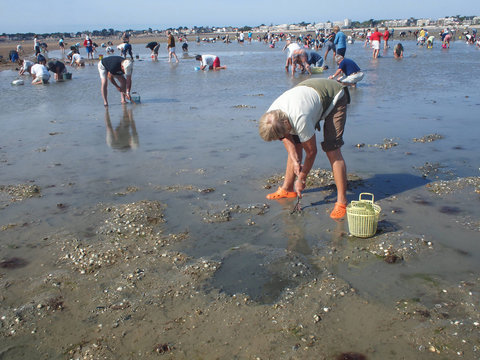 P&ecirc;che &agrave; pied