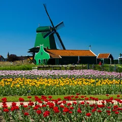 Fototapete Rund Windmühle in Holland © Lsantilli