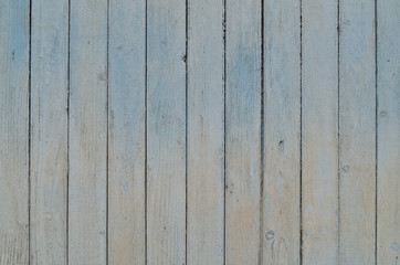 Obraz premium opierzenie