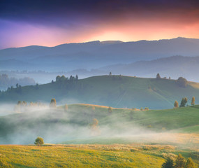 Colorful summer landscape in the mountains. Foggy sunrise