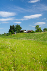 summer landscape with houses