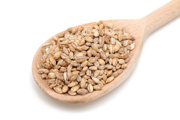 pearl barley in wooden spoon