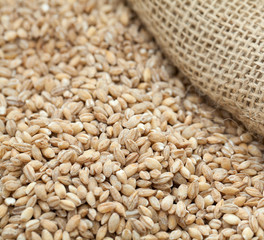 pearl barley in wooden spoon