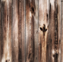 Drewniane tło © Zbyszek Nowak