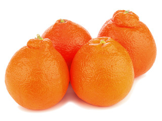 Ripe mineola fruits isolated on white background.