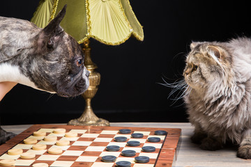 French bulldogplaying checkers with persian cat on black