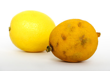 Stale and fresh lemon