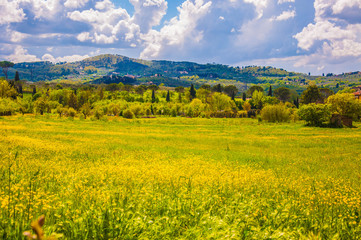panorama primaverile