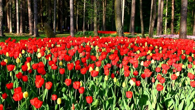 Beautiful park with visitors in early spring.