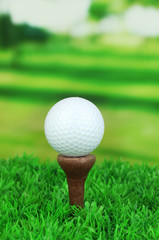 Golf balls on grass outdoor close up