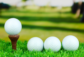 Golf balls on grass outdoor close up