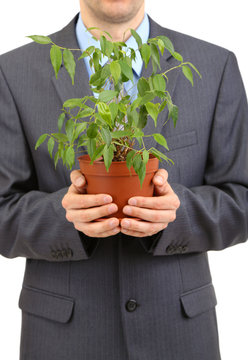 Young businessman with plant isolated on white.