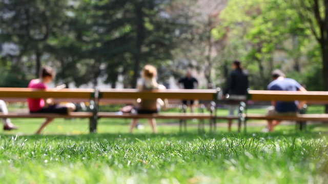 Park Scene with disabled person in wheelchair