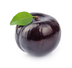 Single plum close up