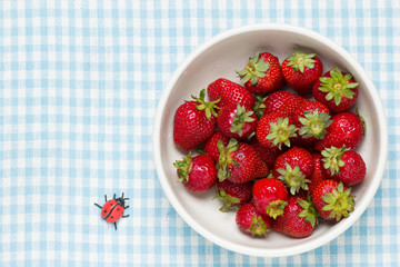 strawberries in a bowl and ladybird