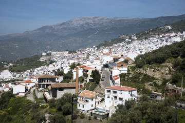 Fototapeta na wymiar White town Competa in the Sierra Almijara Spain