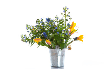 bouquet of early spring flowers