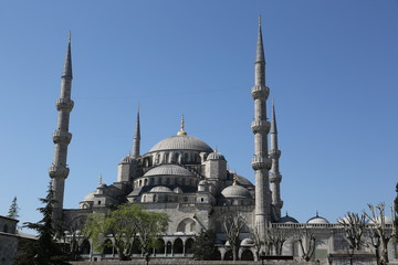Fototapeta na wymiar Bardzo wypukła Błękitny Meczet, Stambuł