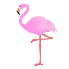 Naklejka premium Flamingo vector