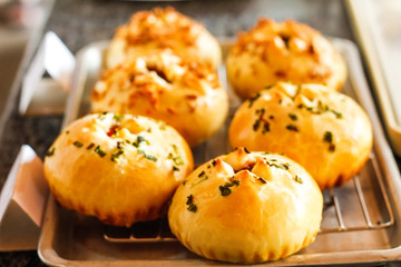 BBQ Pork Roll Bread