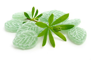 Waldmeister - Pflanze und Bonbons