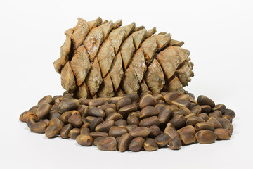Cedar nuts and cone