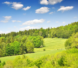National park Sumava - Czech Republic