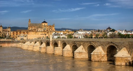 Fototapeta premium Ponte romana de Córdova