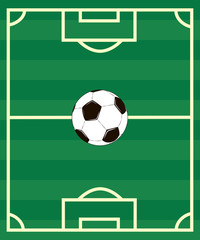 ball on the soccer field