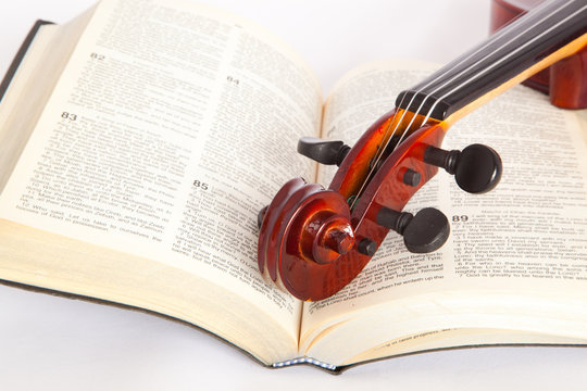violin