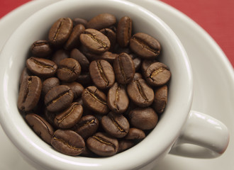 Cup filled with Espresso beans