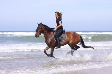 galopp am strand