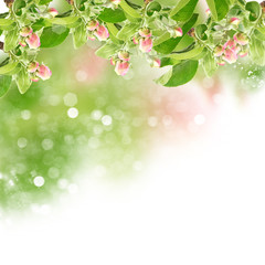 Spring background