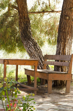 Picknick Table