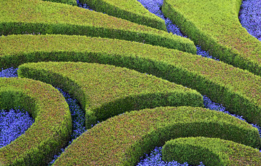 Cuted bushes and flowers