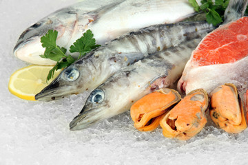 Fresh seafood on ice