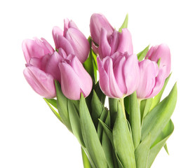 Beautiful bouquet of purple tulips, isolated on white