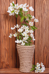 Flowering fruit tree branches in a vase