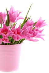 Naklejka na ściany i meble Beautiful pink tulips in a bucket.